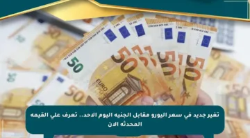 تغير جديد في سعر اليورو مقابل الجنيه اليوم الأحد.. تعرف على القيمة المحدثة الآن